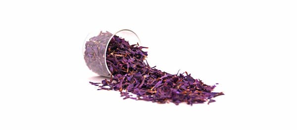 خرید و قیمت گل گاوزبان وحشی + فروش عمده